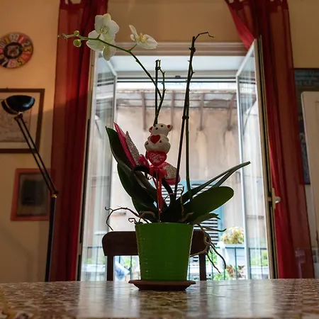 Bed and Breakfast Nuovo Cortile 4*